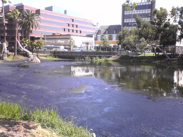DSC00825.JPG