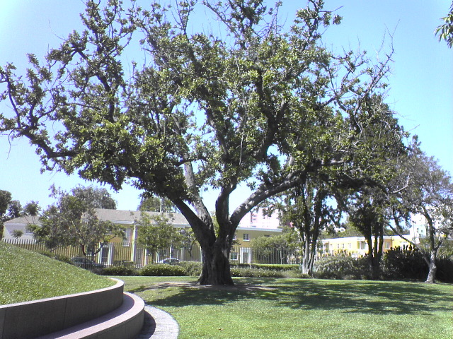 DSC00828_1