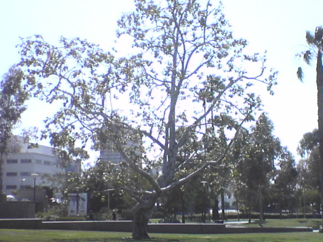 DSC00829_1