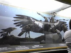 Page Museum