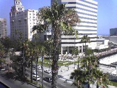 From hotel window