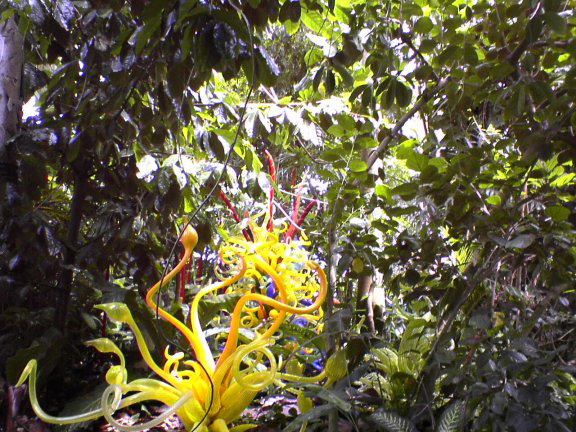 glass-garden9