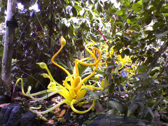 glass-garden8
