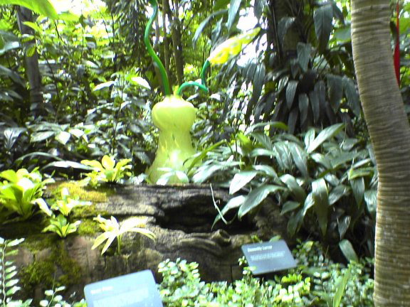 glass-garden6